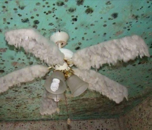 Weird Finds (44 pics)