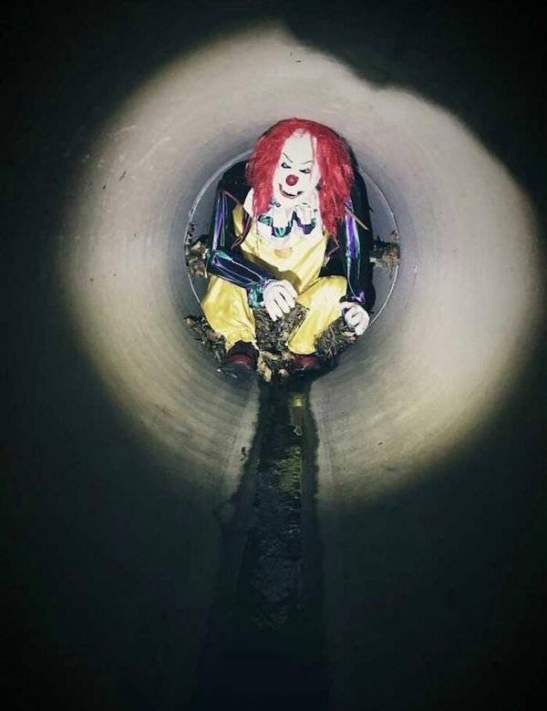 Weird Finds (44 pics)