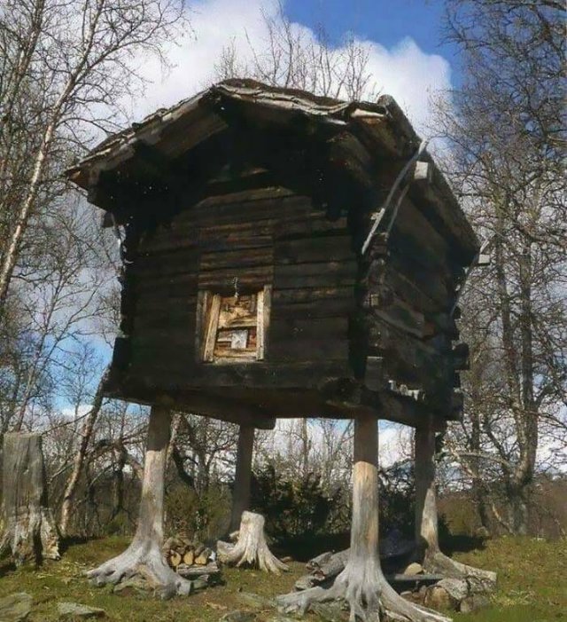 A Little Bit About Norway (44 pics)