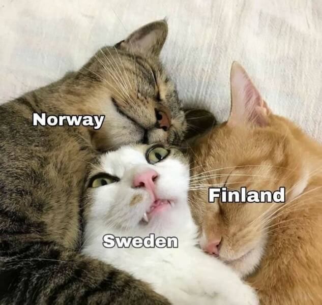 A Little Bit About Norway (44 pics)