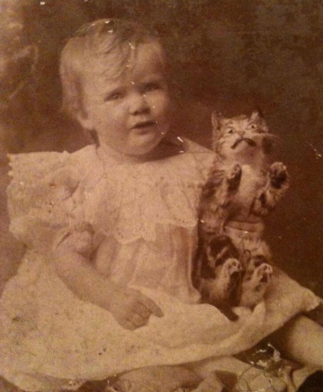 Interesting And Funny Family Photos (16 pics)