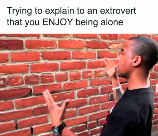 Memes For Introverts (48 pics)