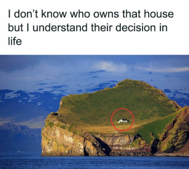 Memes For Introverts (48 pics)