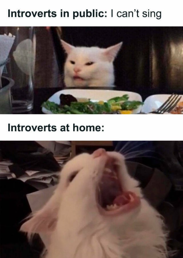 Memes For Introverts (48 pics)