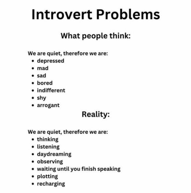 Memes For Introverts (48 pics)