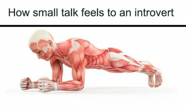 Memes For Introverts (48 pics)