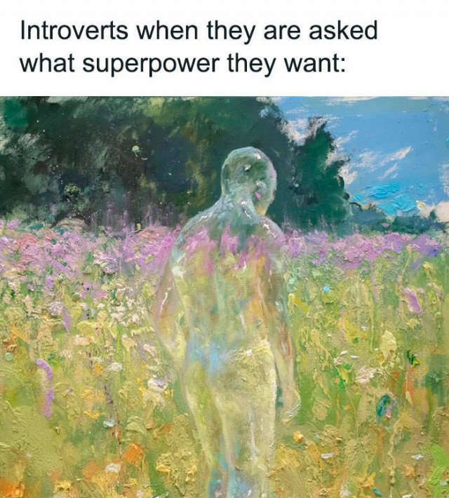 Memes For Introverts (48 pics)