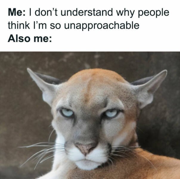 Memes For Introverts (48 pics)