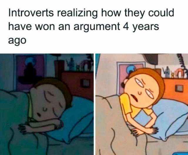 Memes For Introverts (48 pics)