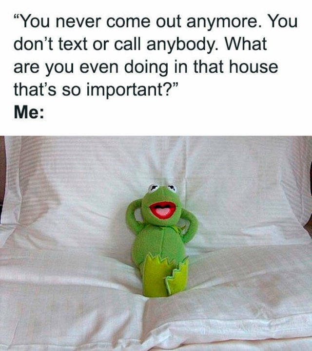 Memes For Introverts (48 pics)