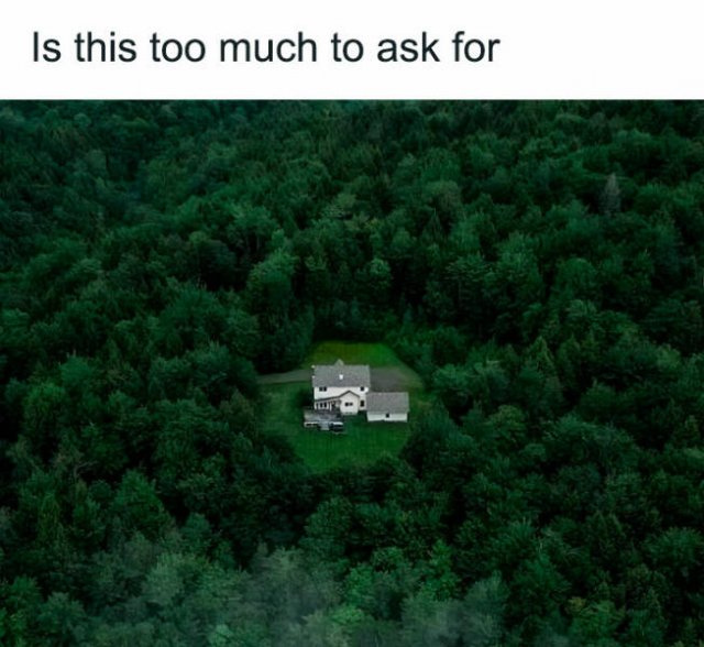 Memes For Introverts (48 pics)