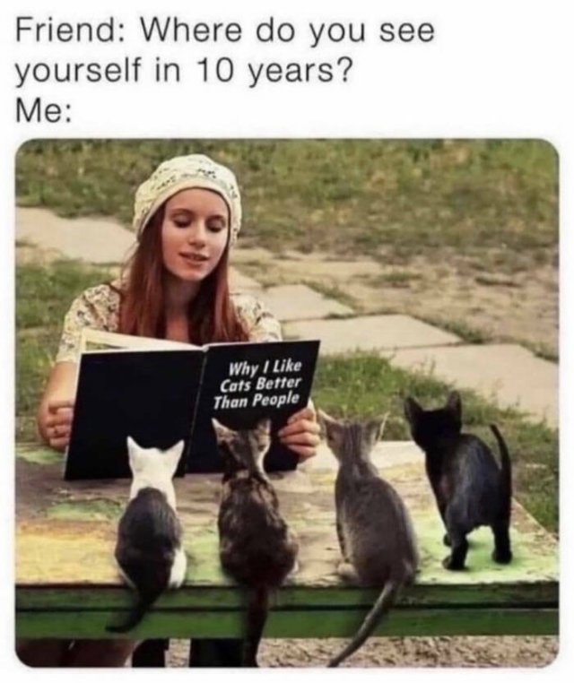 Memes For Introverts (48 pics)