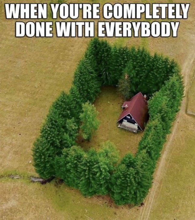 Memes For Introverts (48 pics)