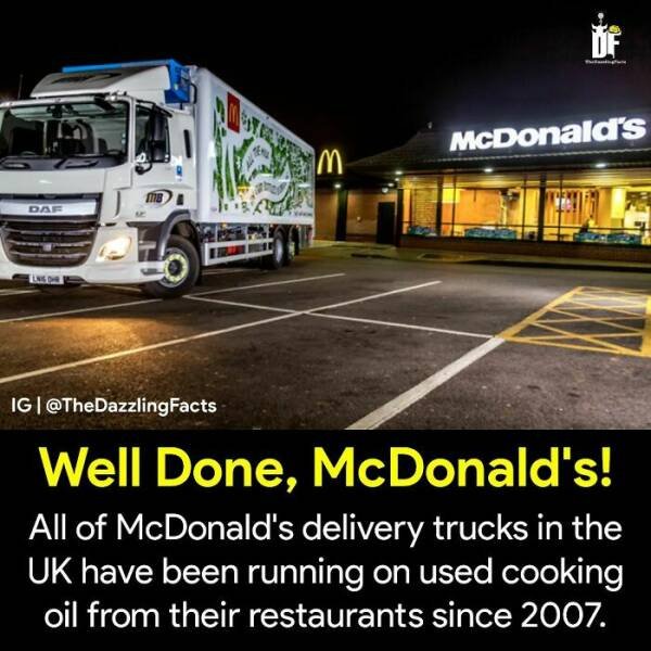 Interesting Facts (37 pics)