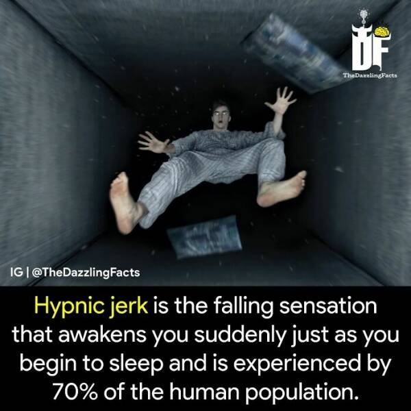 Interesting Facts (37 pics)