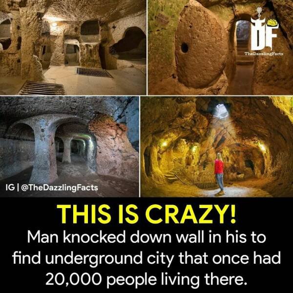 Interesting Facts (37 pics)