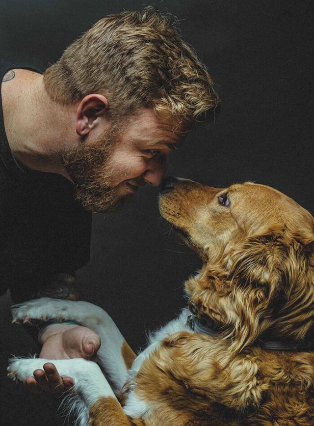 Funny And Jealousy Pets (49 pics)