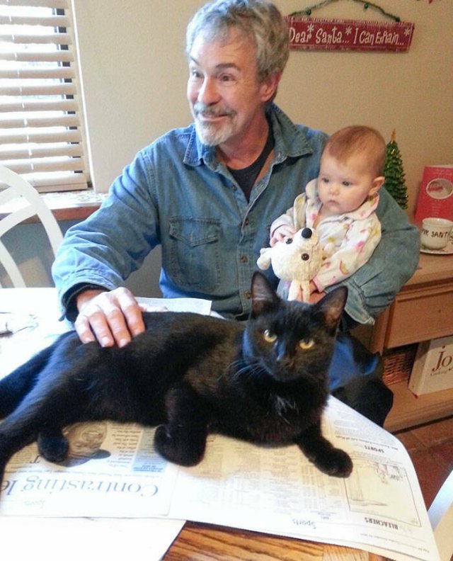 Funny And Jealousy Pets (49 pics)
