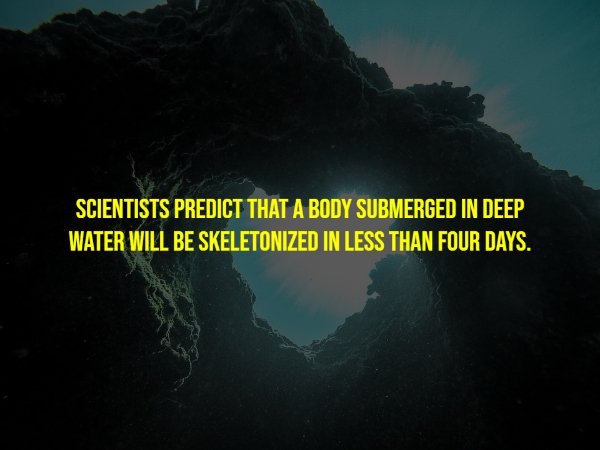 Creepy Facts (15 pics)