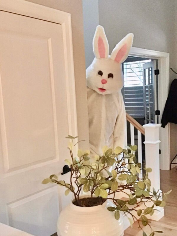 Weird And Funny Pictures For Easter (39 pics)