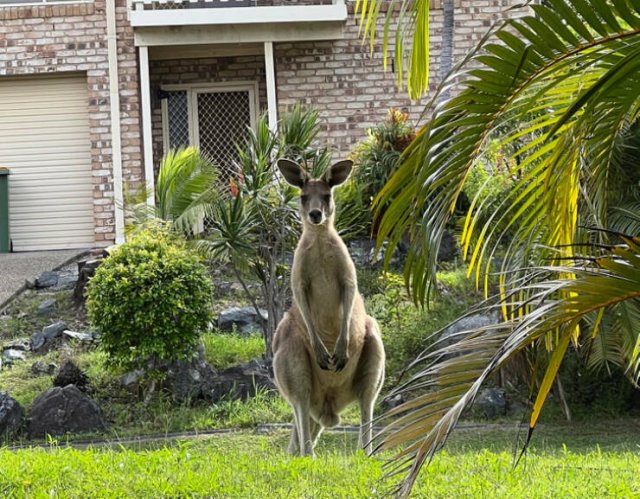 Creepy Photos From Australia (19 pics)