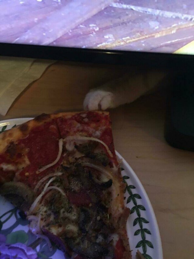 Nightmares For Pizza Lovers (48 pics)