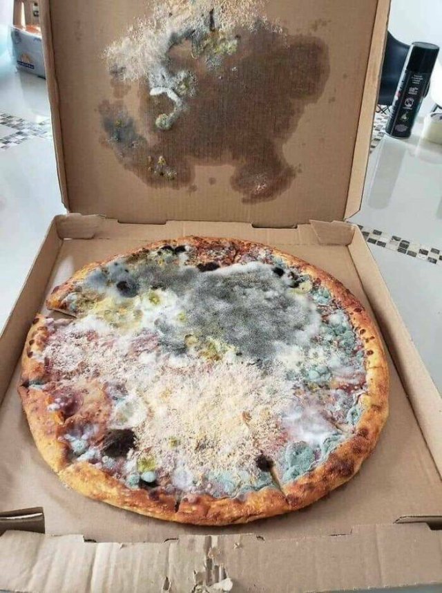 Nightmares For Pizza Lovers (48 pics)