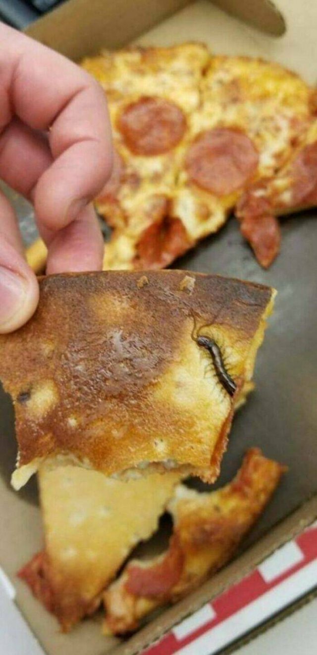 Nightmares For Pizza Lovers (48 pics)