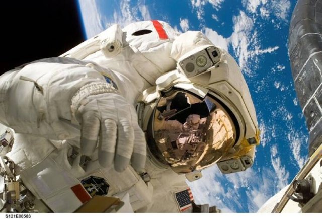 Random Facts (24 pics)