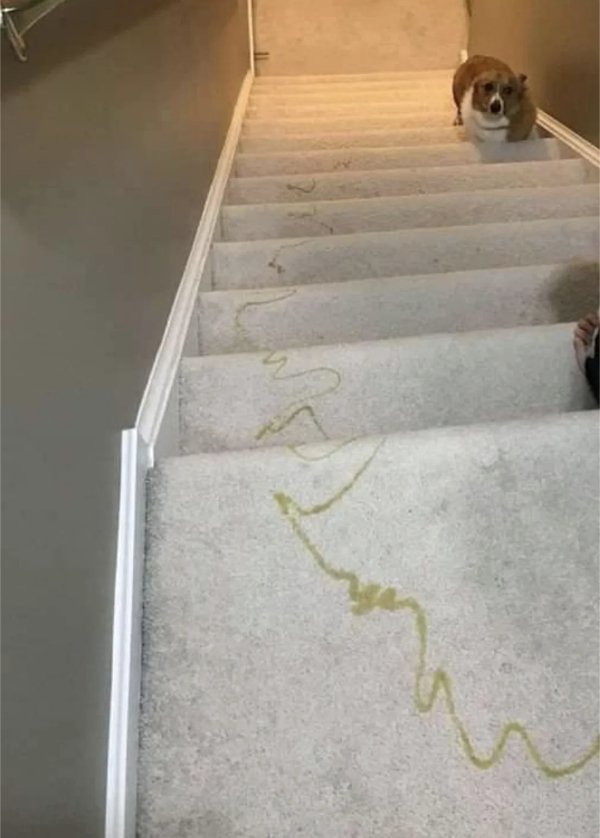 Bad Days Happen (16 pics)