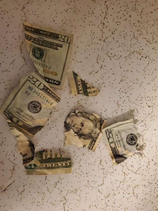Bad Days Happen (16 pics)