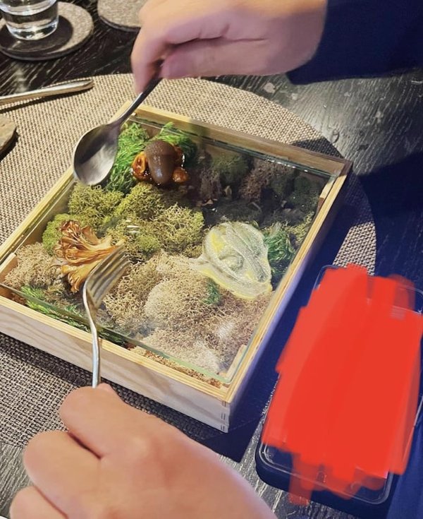 Weird Food Serving (23 pics)