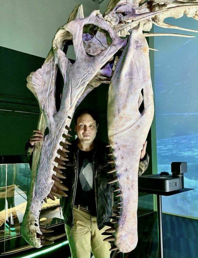 Terrible Creatures From The Distant Past (23 pics)