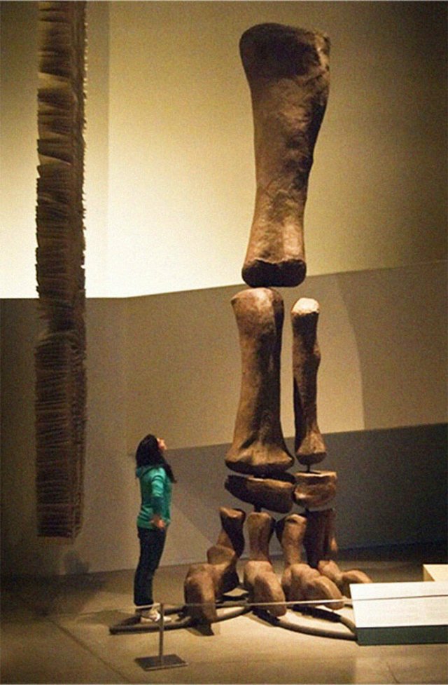 Terrible Creatures From The Distant Past (23 pics)
