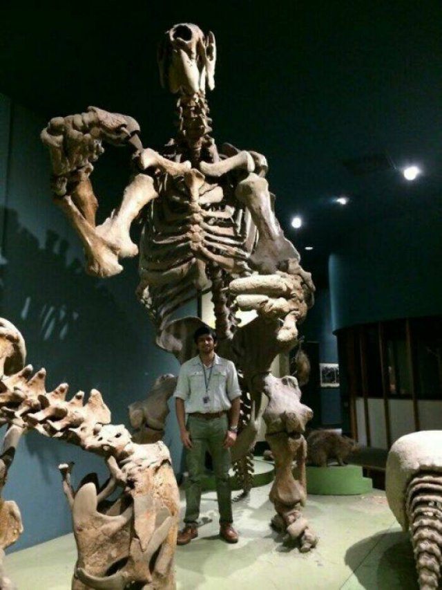 Terrible Creatures From The Distant Past (23 pics)