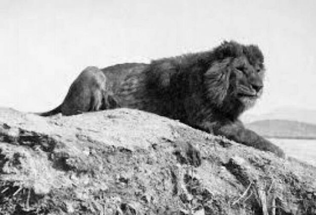 Terrible Creatures From The Distant Past (23 pics)