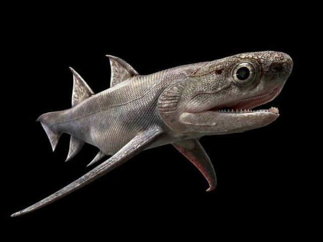 Terrible Creatures From The Distant Past (23 pics)