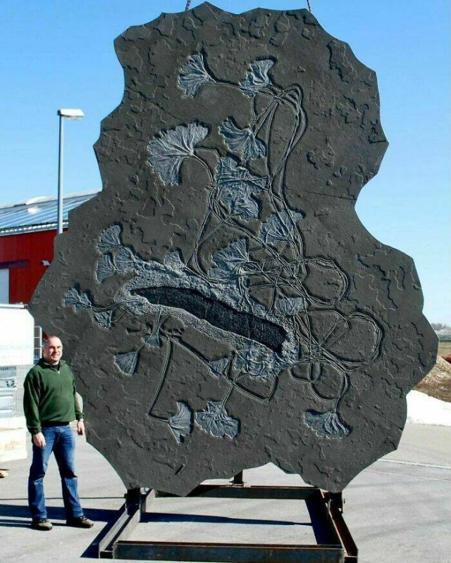 Terrible Creatures From The Distant Past (23 pics)