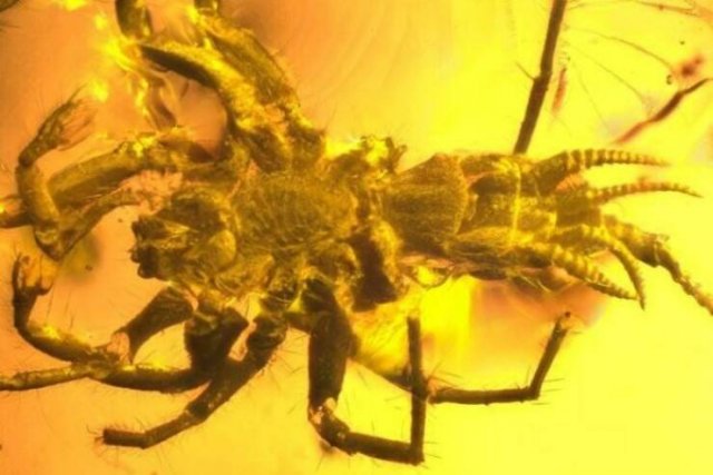 Terrible Creatures From The Distant Past (23 pics)