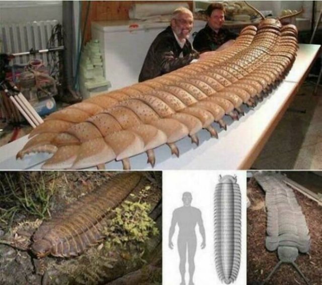 Terrible Creatures From The Distant Past (23 pics)