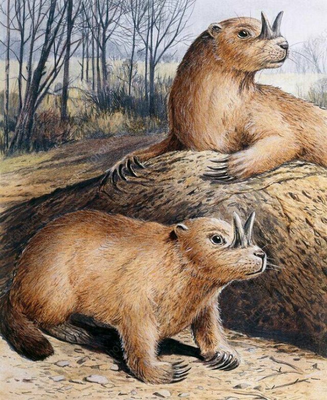 Terrible Creatures From The Distant Past (23 pics)