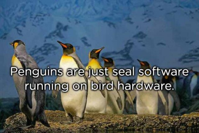 Funny Memes (40 pics)