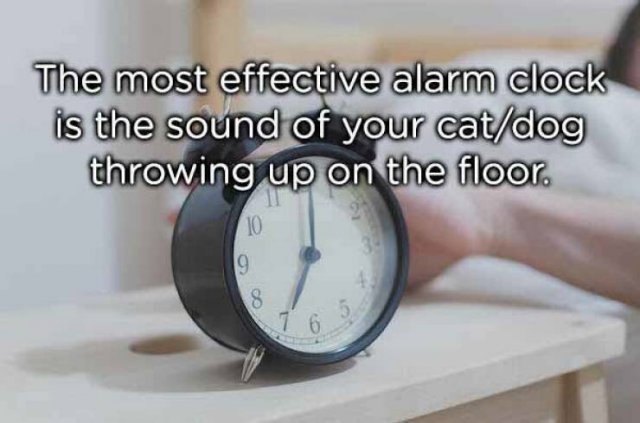 Funny Memes (40 pics)