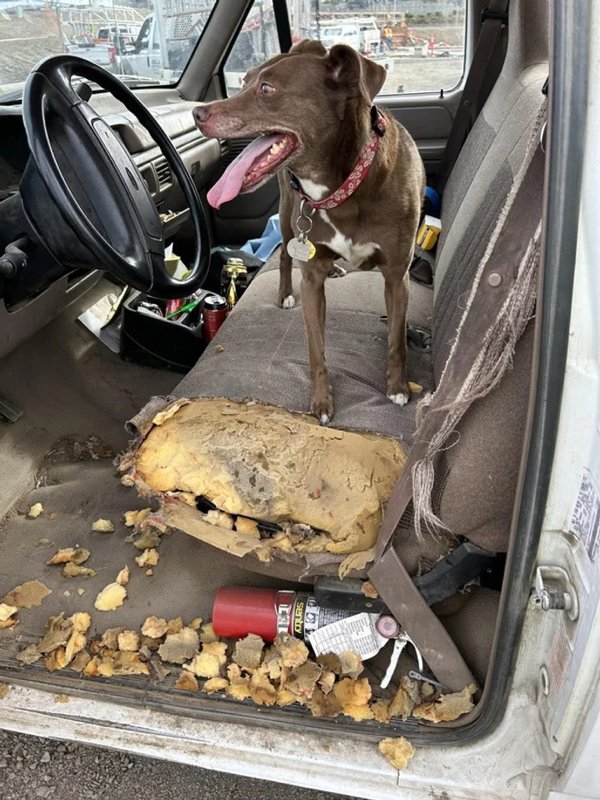 Bad Days Happen (17 pics)