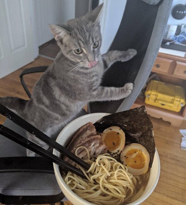 They Need Your Food (34 pics)