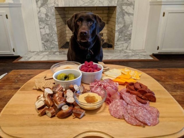 They Need Your Food (34 pics)