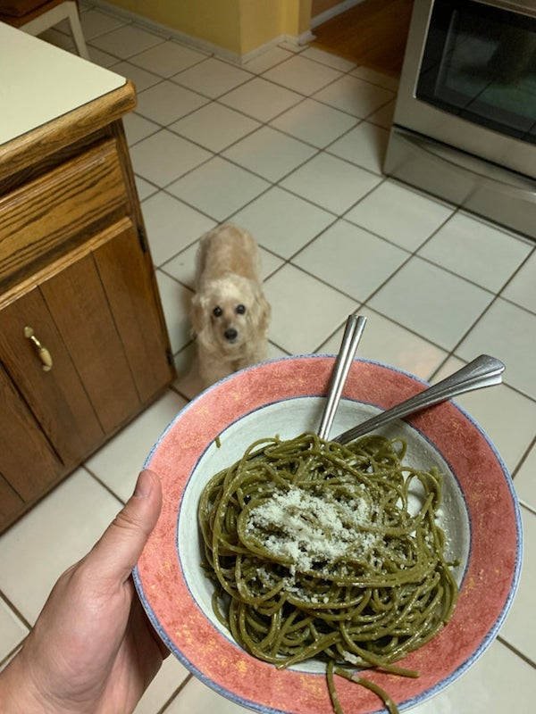 They Need Your Food (34 pics)