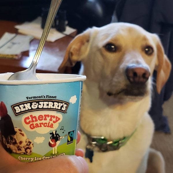 They Need Your Food (34 pics)