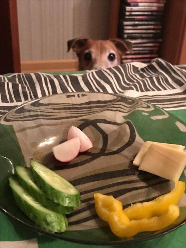 They Need Your Food (34 pics)