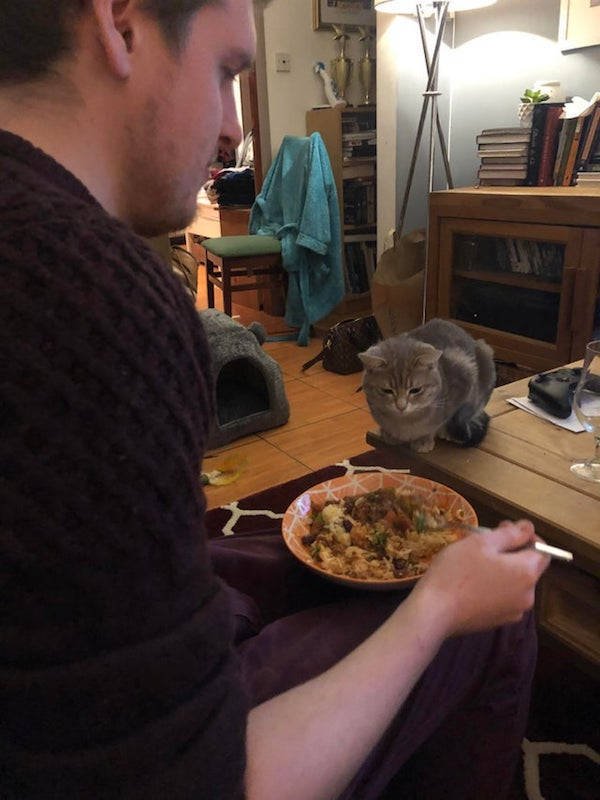 They Need Your Food (34 pics)